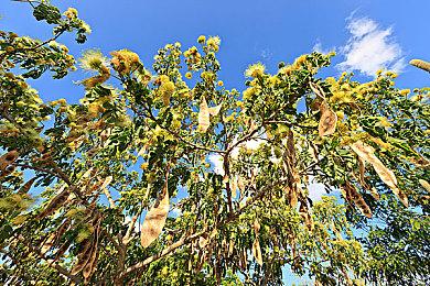 大翻车！ 多家媒体称《艾尔登法环》Switch2掌机模式运行糟糕